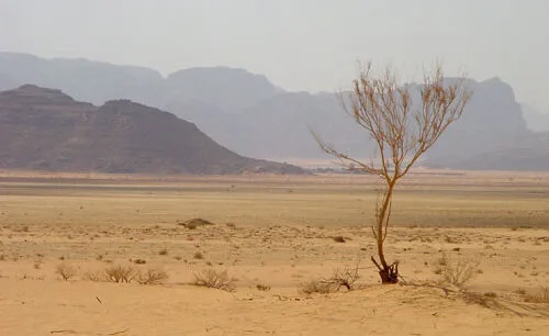 Safari Sharm