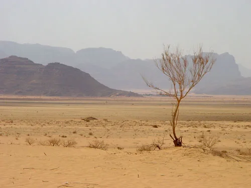 Safari Sharm